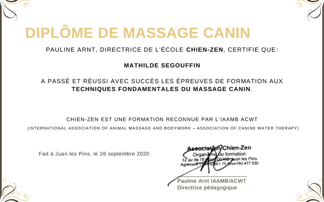 Diplômée en massage canin Chien-Zen