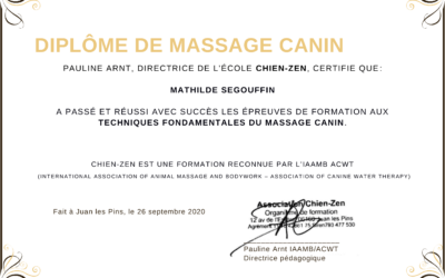 Diplômée en massage canin Chien-Zen