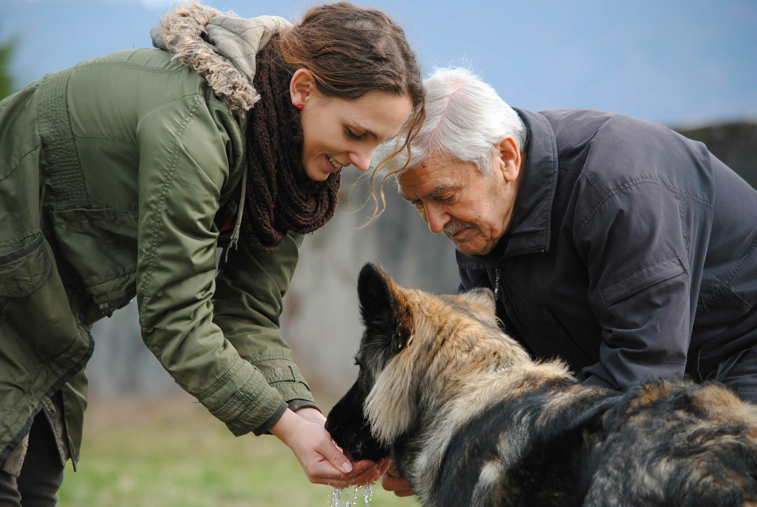 mediation-animale-fb communication animale