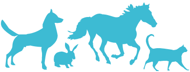 animaux-com-animale
