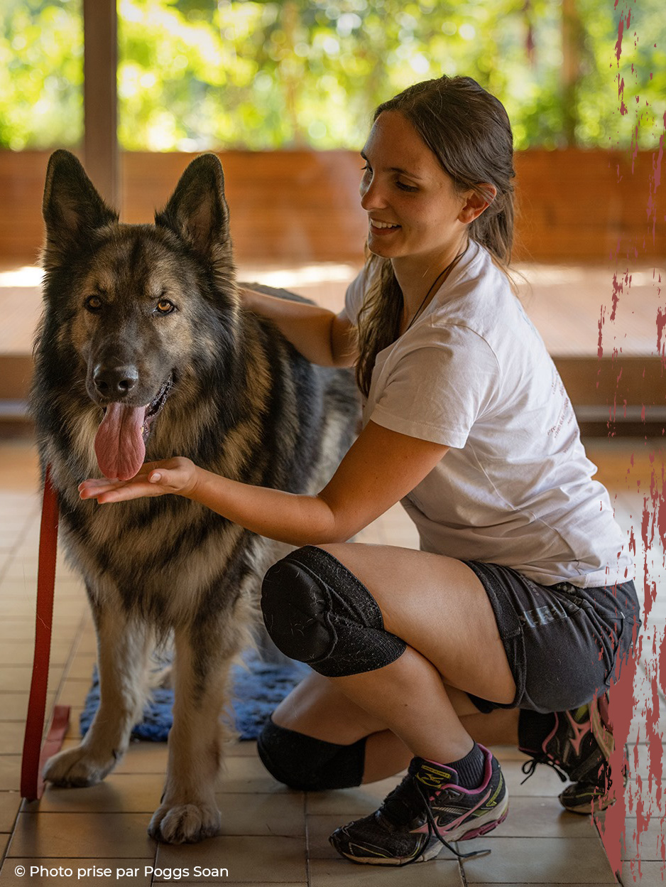 massage-canin-pres2