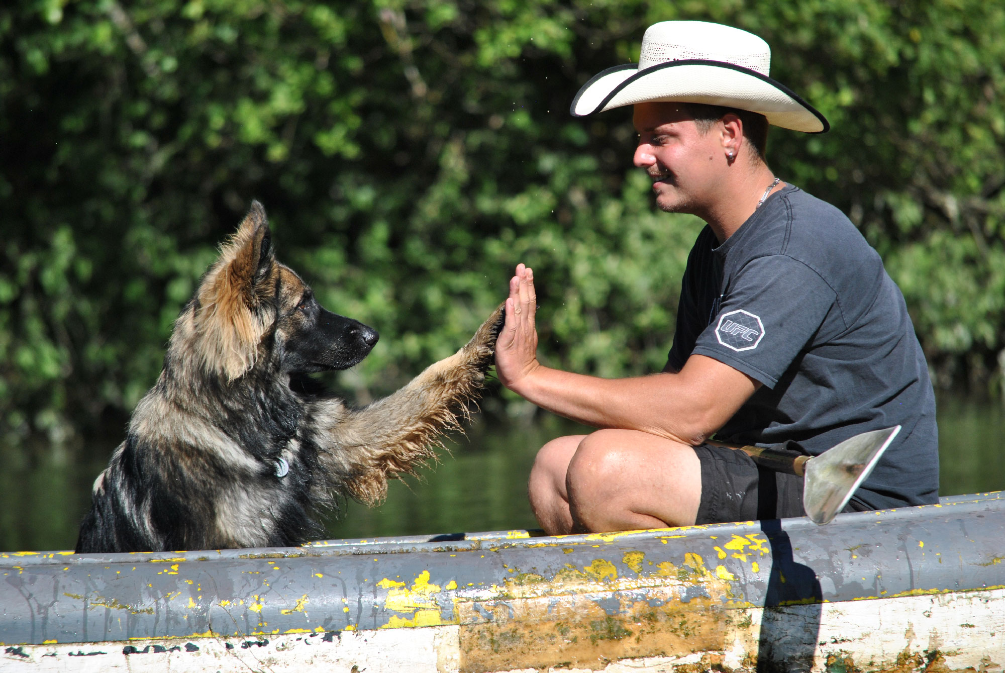 shooting-photo-animaux