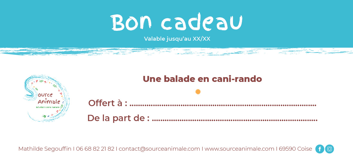 Bon cadeau cani-rando Bon cadeau cani-rando