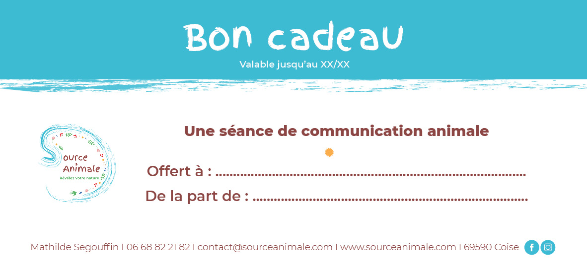 Bon-cadeau-com-animale-1