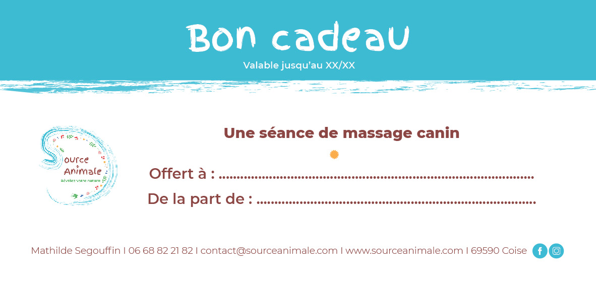 Bon cadeau massage canin Bon cadeau massage canin