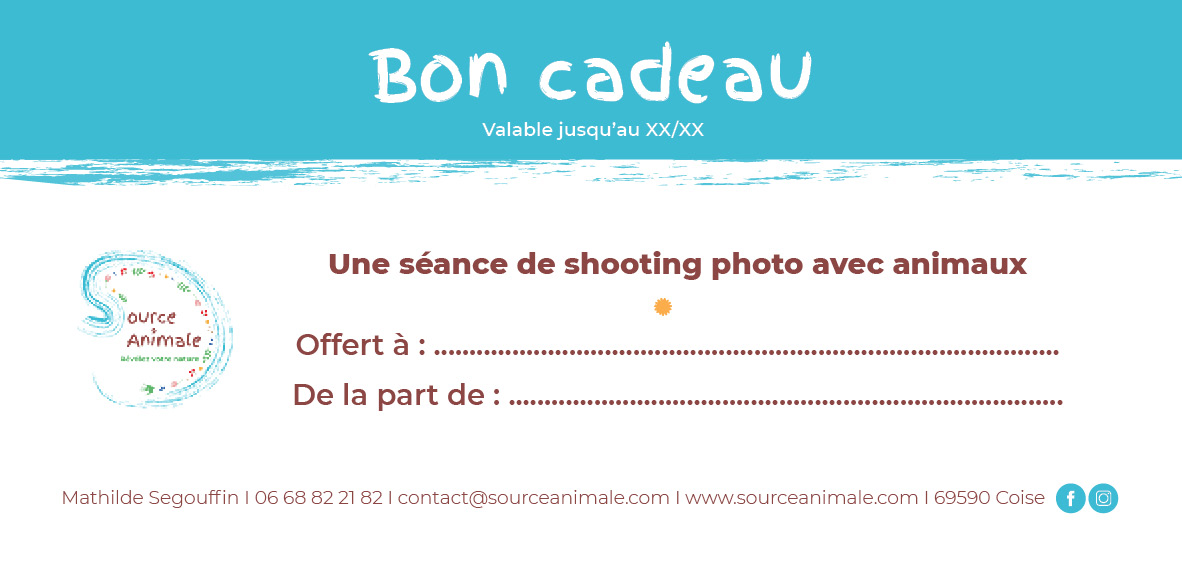 Bon-cadeau-shooting-photo-1 Bon cadeau massage canin