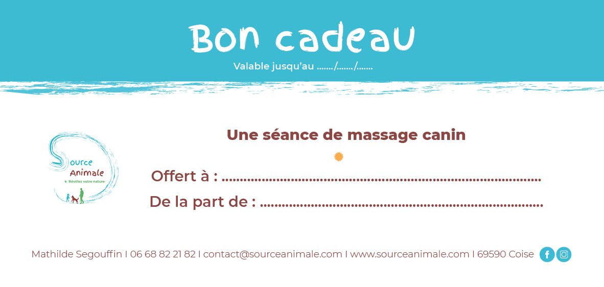 Bon-cadeau-massage-canin-2022