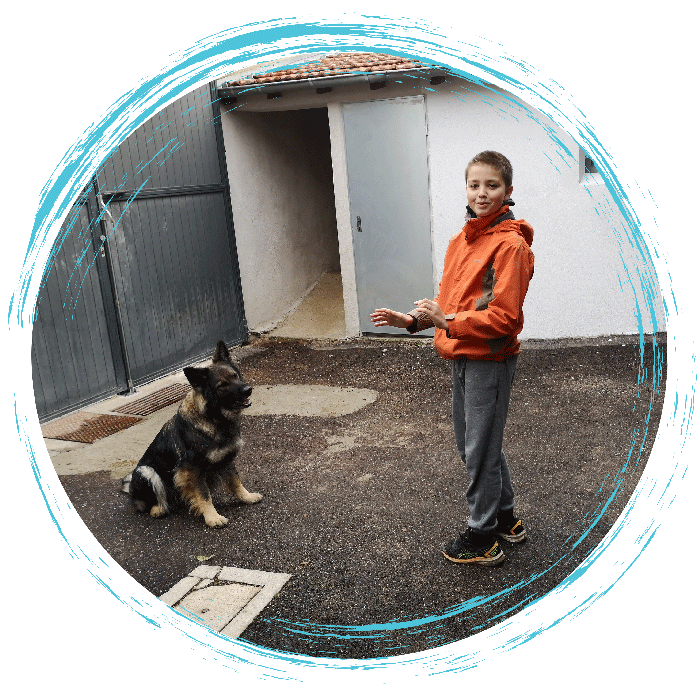 mediation-canine-4 mediation-canine-4