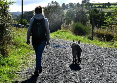 Cani-rando Lucie