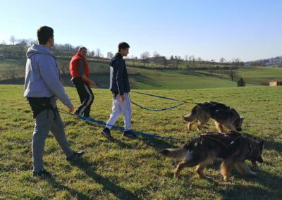 Cani-rando Jean-Louis