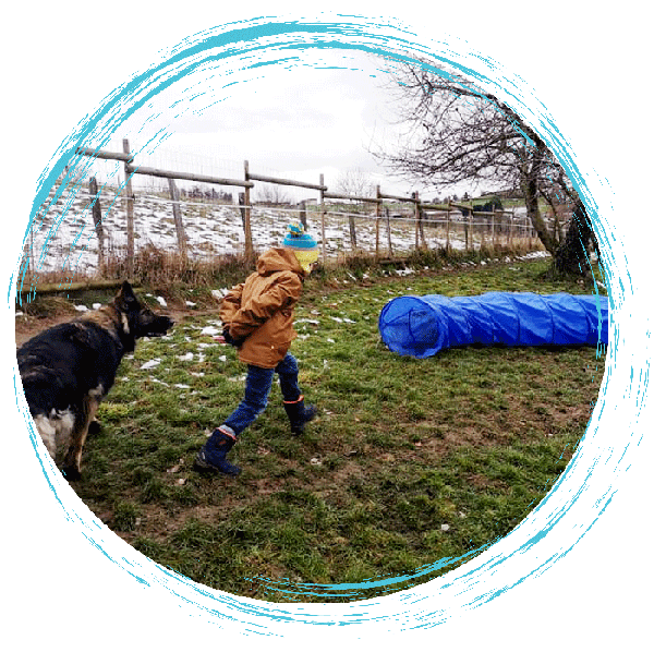 mediation-canine-7-1 mediation-animale-canine3
