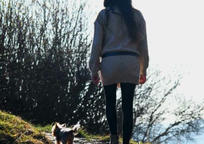 photographie de chien lorinne shiny