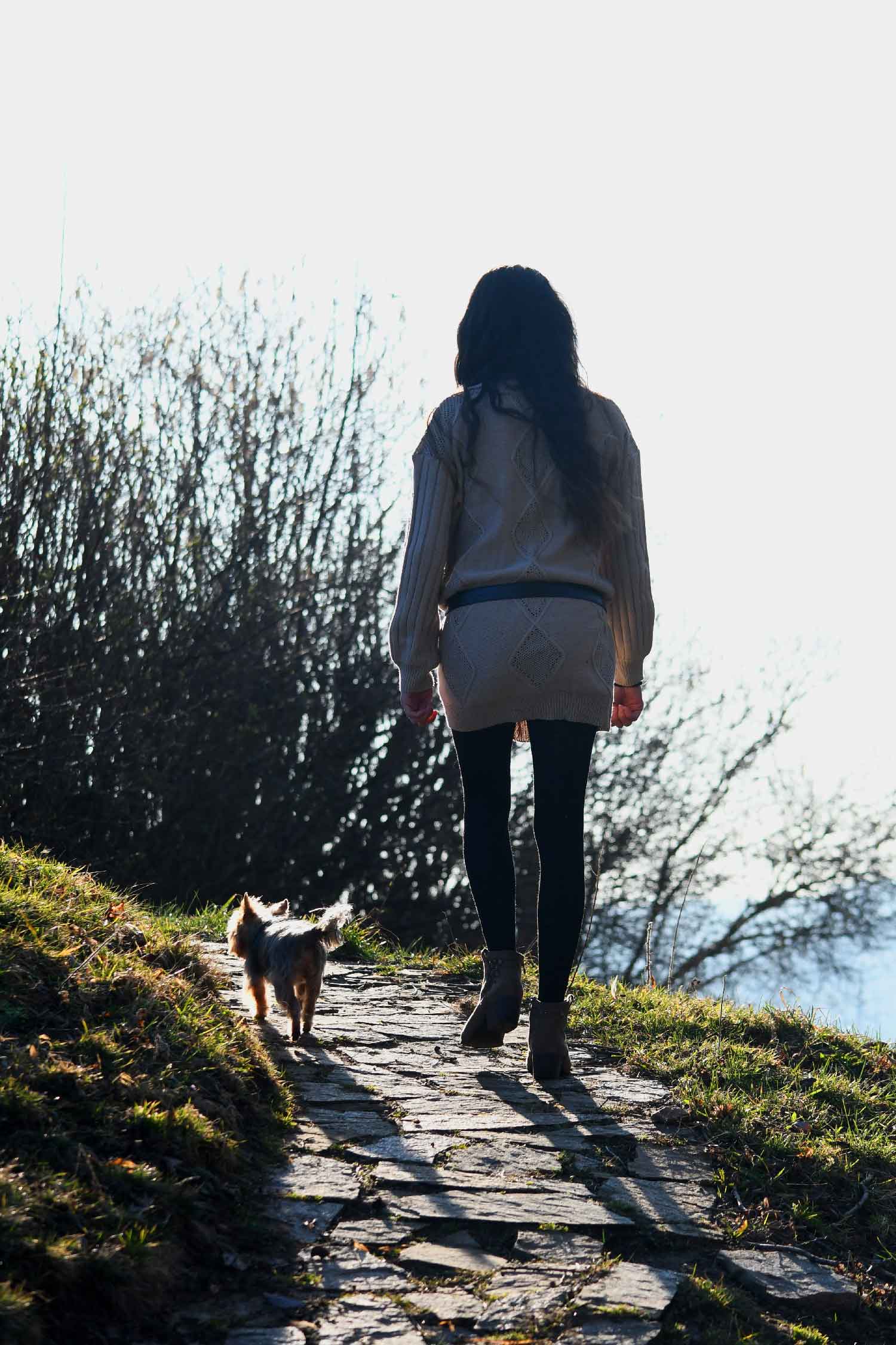 photographie de chien lorinne shiny photographie de chien lorinne shiny