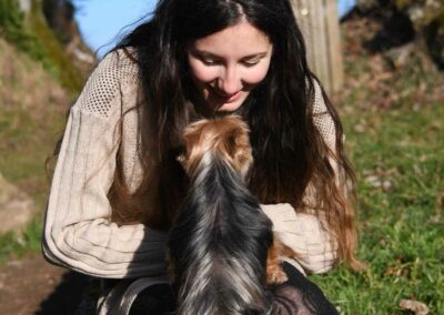 photographie de chien lorinne shiny
