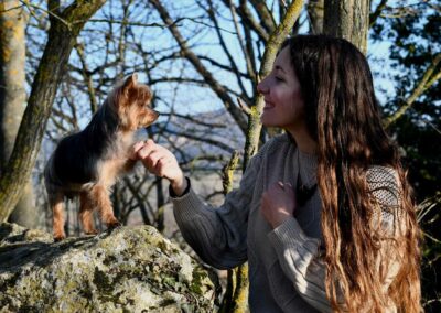 photographie de chien lorinne shiny