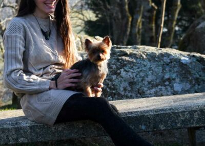 photographie de chien lorinne shiny