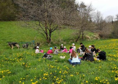 Cani-rando MJC Saint-Symphorien-sur-coise