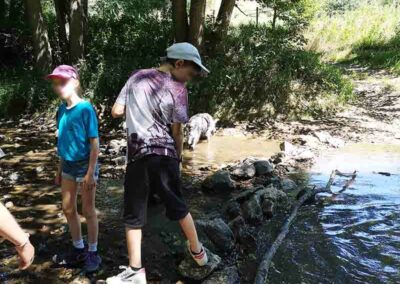 Cani-rando MJC St-symphorien-sur-coise