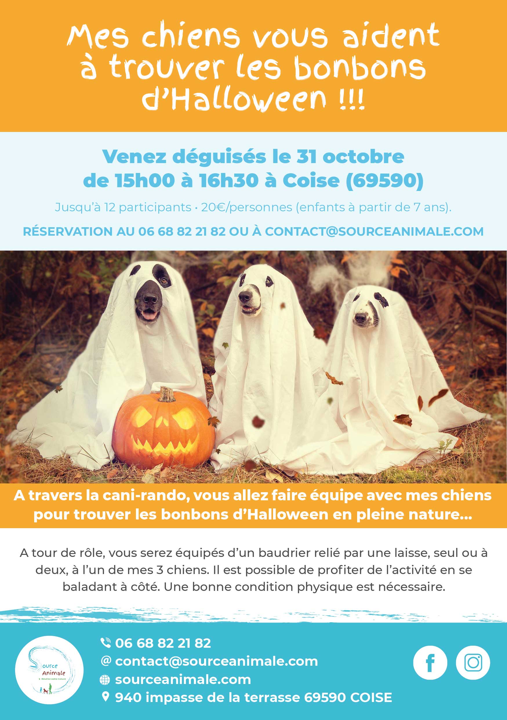 flyer-cani-rando-halloween-web balade cani-rando halloween 31/10/22