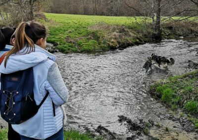 cani-rando monts du lyonnais