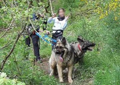 Cani-rando école Bel Air Francheville Périscolaire