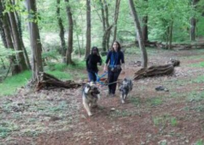 Cani-rando école Bel Air Francheville Périscolaire