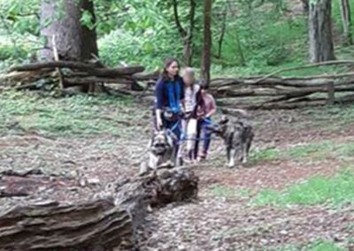 Cani-rando école Bel Air Francheville Périscolaire