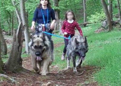 Cani-rando école Bel Air Francheville Périscolaire