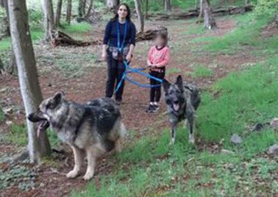 Cani-rando école Bel Air Francheville Périscolaire