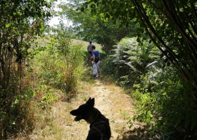 Cani-rando famille été Coise