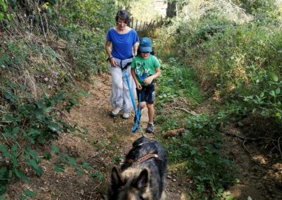 Cani-rando famille été Coise