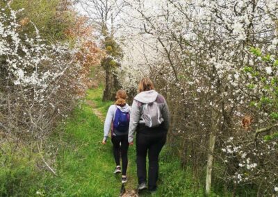 Cani-rando tante et nièce monts du lyonnais