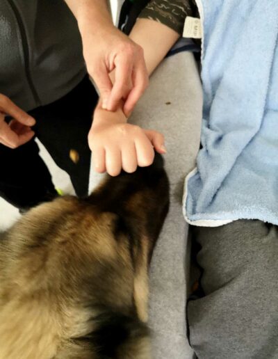 médiation canine IME lyon polyhandicapés