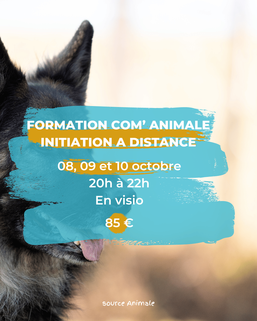 formations communication animale à distance initiation groupe