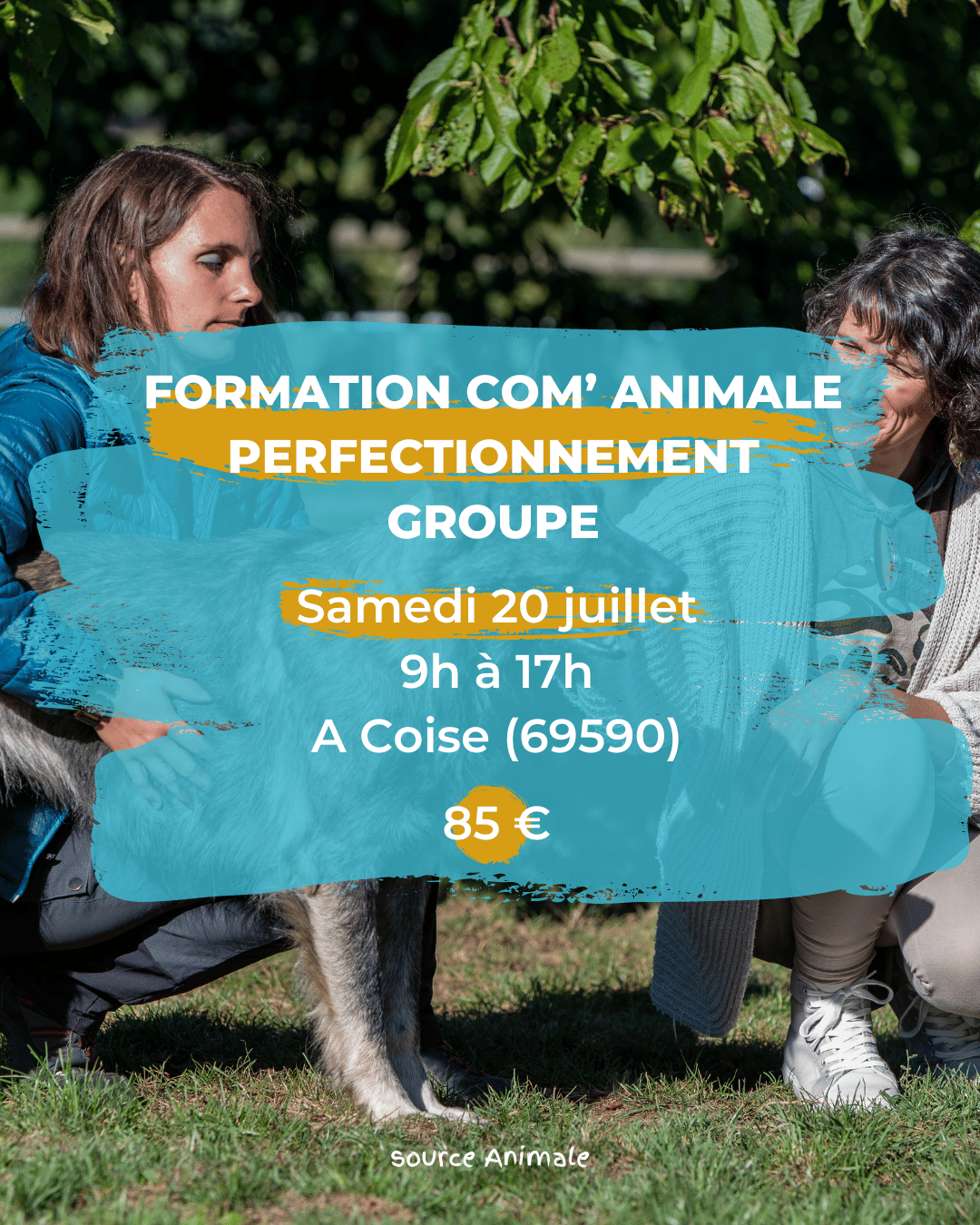 formations communication animale perfectionnement groupe