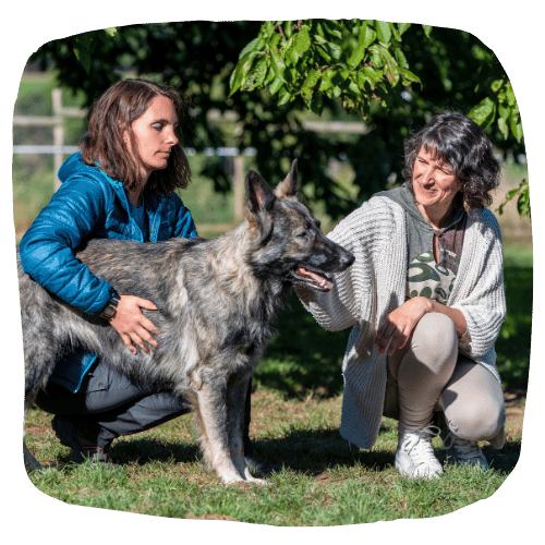 apprendre-la-communication-animale-particuliers-source-animale apprendre la communication animale particuliers