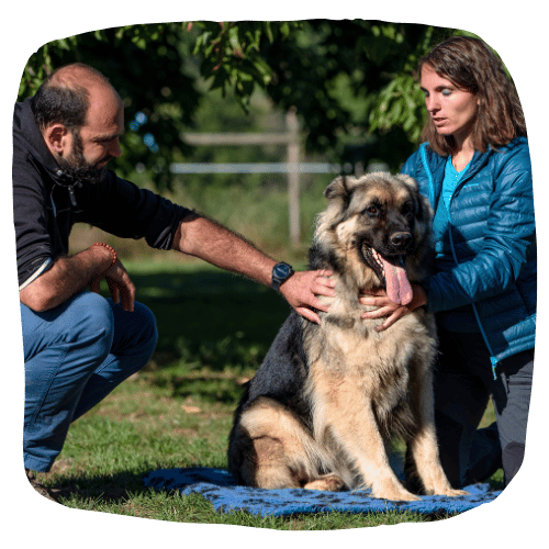 apprendre-la-communication-animale-professionnels-source-animale apprendre la communication animale professionnels du monde animalier