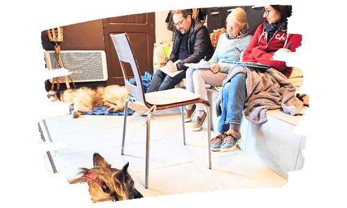 communiquer-avec-les-animaux-source-animale3 communiquer avec les animaux