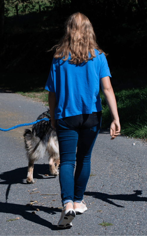 communiquer avec les animaux