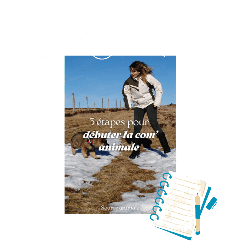 guide-débuter-la-com-animale-source-animale